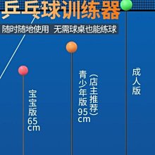 正品網球拍訓練器單人打帶線回彈自練神器初學者大學生網球拍套裝 歷史價格詳細信息