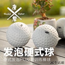 【球球館】島田由佳-球球和哥哥-168幼福童書網 歷史價格詳細信息