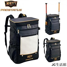 日本製捷多ZETT PROSTATUS 兩隻裝職業級棒壘球護臂 2BNV-雙喜生活館 歷史價格詳細信息