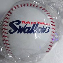 東京養樂多 球衣代購 客場 無背號(球迷版) 代購 歷史價格詳細信息