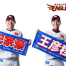 日本職棒 東北樂天金鷹 吉祥物 有現貨 歷史價格詳細信息