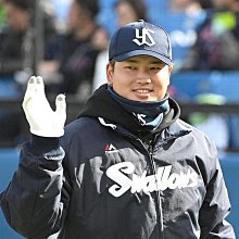 Swallow SA-1570 鋁合金握把式三腳架 歷史價格詳細信息