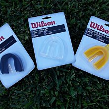 Wilton 兩用烘焙紙擠花袋100入 歷史價格詳細信息