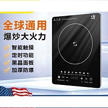 110V小火鍋電磁爐電蒸鍋家用小型新款多功能迷你電煮鍋小陶爐鍋 滿299起送 歷史價格詳細信息