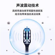 替換刷頭QUEENELISA電動牙刷頭刷毛QiproQ1情侶款清潔護【爆款特賣】 歷史價格詳細信息