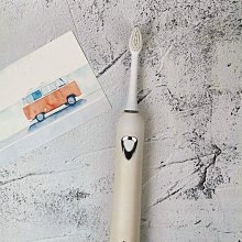 SOFTIA 日本進口丸型磨泥器-黑 SAN-C3667 歷史價格詳細信息