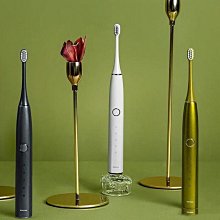 羅曼（ROAMAN）兒童電動牙刷6-12歲軟毛充電式寶寶小孩聲波牙刷P3 歷史價格詳細信息