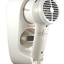 達新牌 掛壁式吹風機TS-1399飯店民宿游泳池的最愛 歷史價格詳細信息