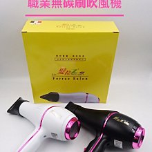 【髮拉Z】沙龍美髮專業吹風機R8 (居家美容 吹整設計 可調式 風量 節能 台灣製造) 歷史價格詳細信息