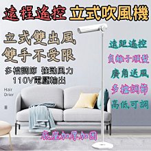 吹風機 立式吹風機 懶人吹風機 直立式吹風機 免手持吹風機 站立吹風機 負離子護髮 支架吹風機 冷暖出風 歷史價格詳細信息