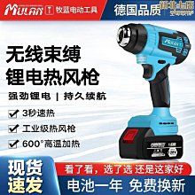 電吹風 烘鞋器 吹風機 折疊 2檔 設定 快速幹發 吹風筒 120/230V 60/50Hz  1600W 歷史價格詳細信息
