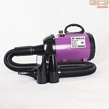 寵物專用超聲波潔牙器去牙結石牙菌斑洗牙神器家用全自動美牙儀 歷史價格詳細信息