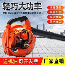 手提汽油吹風機 各型號汽油吹風機 道路吹風機 歷史價格詳細信息