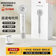 便攜吹風機家用水離子速幹負離子電吹風吹風機支持 歷史價格詳細信息
