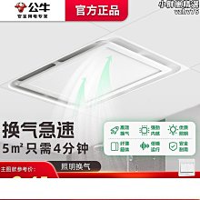 集成吊頂排氣扇 靜音全銅換氣扇廚房衛生間300鋁扣頂抽風扇排風扇 歷史價格詳細信息