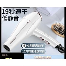 康夫吹風機發廊大風力大功率家用恆溫護髮髮型師專用吹風機KF8894 歷史價格詳細信息