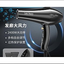 永日負離子高速吹風機家用髮廊11萬轉無刷電吹風t型吹風 歷史價格詳細信息