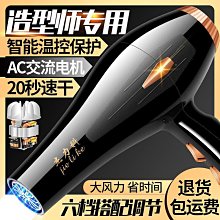 電吹風機大風力家用靜音髮廊學生宿舍負離子護髮冷熱摺疊便攜風筒 歷史價格詳細信息