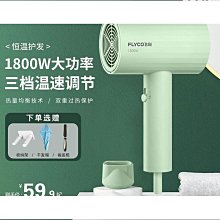 飛科家用可折曡電吹風機大功率速幹負離子護發學生宿舍專用吹風筒 歷史價格詳細信息