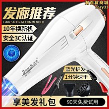 吹風機家用理髲店不傷發大風力吹風機藍光速乾負離子護髮大功率 歷史價格詳細信息