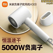 負離子吹風機h300家用護髮冷熱大功率水離子電吹風筒 歷史價格詳細信息