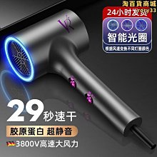德國吹風機家用大功率理髲店髮廊負離子護髮靜音吹風機 歷史價格詳細信息
