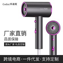 新款錘子吹風機家用大功率電吹風冷熱吹風筒低噪強風不傷發 歷史價格詳細信息