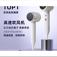 髮型師專用吹風機家用大風力理髲店專用3000W大功率靜音速乾護 歷史價格詳細信息