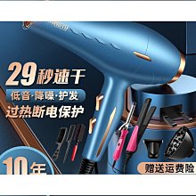 德國3000進口髮廊吹風機速乾理髲店家用大風力負離子吹風機靜音 歷史價格詳細信息