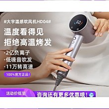 電吹風家用低噪音大風力速幹吹風筒藍光學生宿舍冷熱風護髮吹風機 歷史價格詳細信息