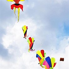 風箏-W小調連身遮肚顯瘦不規則經典設計高級感遊泳衣新款泳裝夏 歷史價格詳細信息