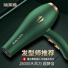 吹風機 電吹風  沙龍級吹風機 110V電吹風 發廊大風力負離子吹風機家用大功率變頻藍光理發店電吹風筒0拉 歷史價格詳細信息