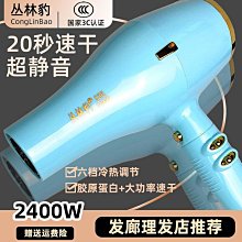 【免運】電吹風機家用負離子護髮電吹風學生宿舍大功率吹風筒禮品 歷史價格詳細信息