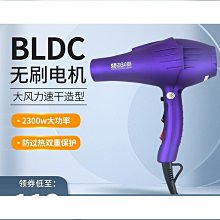 大功率吹風機理髮店髮型師超大風力家用髮廊電風筒 歷史價格詳細信息