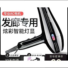 永日負離子高速吹風機家用髮廊11萬轉無刷電吹風t型吹風 歷史價格詳細信息