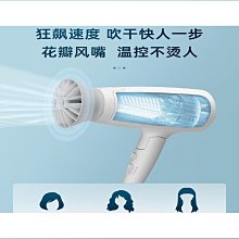 吹風機家用大功率負離子不傷發電吹風錘子吹風酒店髮廊 歷史價格詳細信息