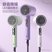 【小殼】吹風機家用護髮冷熱風負離子大功率髮廊電吹風筒 歷史價格詳細信息