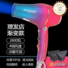 專業吹風機髮廊專用大功率宿舍恆溫冷熱造型吹風筒電吹風家用 歷史價格詳細信息