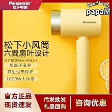 電吹風機家用恆溫速幹負離子護髮風筒婦女節禮物BHD309/05小花筒 歷史價格詳細信息