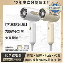 宿舍便攜家用高速吹風機 負離子大功率恆溫迷你電吹風 歷史價格詳細信息