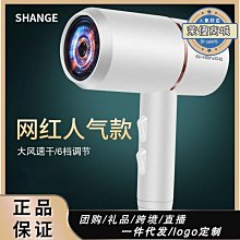 閃格吹風機家用負離子護髮大風力宿舍學生髪廊專用冷熱不傷發筒 歷史價格詳細信息
