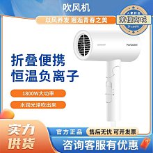 飛科吹風機家用恆溫護髮冷熱風大功率學生宿舍用大風力吹風機筒 歷史價格詳細信息