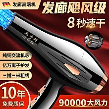 髮廊吹風機家用大功率3000W 理髲店負離子護髮吹風機筒冷熱風靜音 歷史價格詳細信息