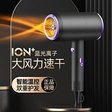 吹風機 負離子髮廊大風力家用大功率護髮理髮店電吹風筒速幹 歷史價格詳細信息