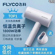 飛科吹風機FH6257家用摺疊學生宿舍小功率冷熱風護髮吹風機 歷史價格詳細信息