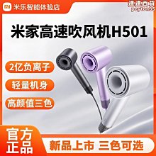 高速吹風機h501負離子護髮速乾宿舍家用大風力2023新款 歷史價格詳細信息