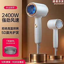 家用吹風機理髲店大功率冷熱風吹風機學生宿舍酒店藍光吹風機 歷史價格詳細信息