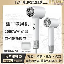 高速電吹風機負離子風筒髮廊家用大功率大風力hair dryer 歷史價格詳細信息