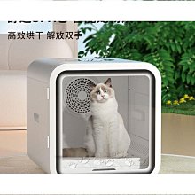 寵吹風機家用大功率藍光負離子護髮理髮店冷熱風筒小電吹風筒 歷史價格詳細信息