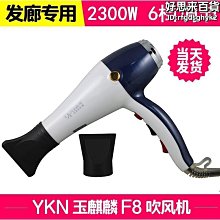 電吹風機家用大功率2300W護髮強力髮廊髮型師3.5米專用大風力速幹 歷史價格詳細信息
